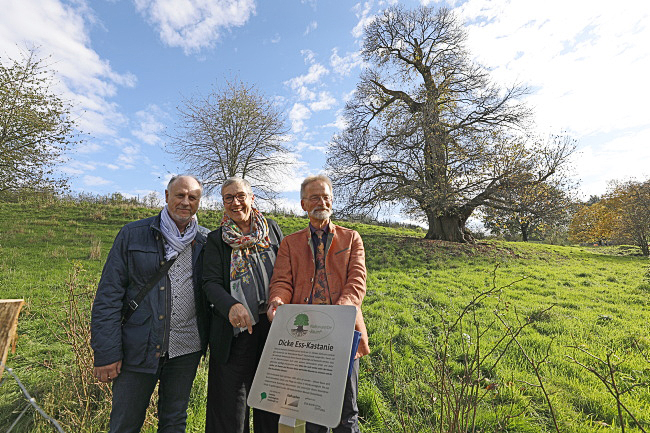 Nationaldenkmal Esskastanie Vaalserquartier